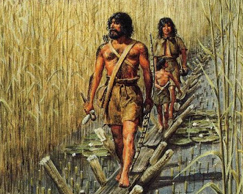 3. We know, from the fossil record, and cut-marks on UK pelican bones, that our ancestors were not averse to snacking on these vast & meat-rich birds & presumably their chicks. Were I in their place - hunting those marshes by boat & wooden walkways - I might have done the same.