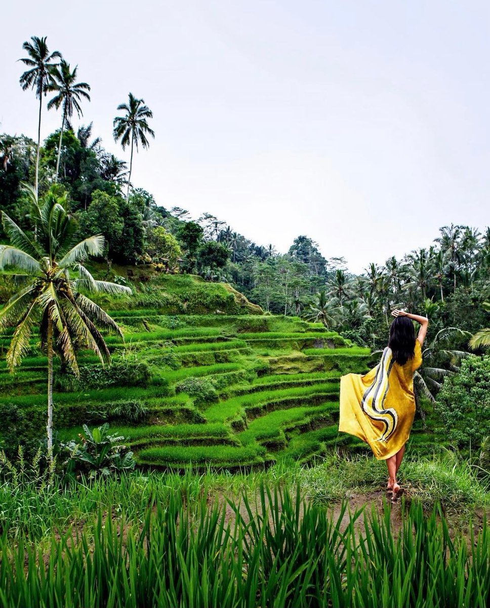 Bali, Indonesia 🇮🇩
via: nomadicfare