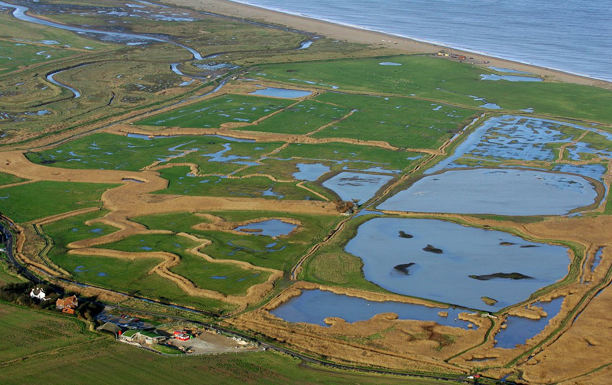 14. With a small but stable population of giant pelicans possible in our country, what could this look like? How does this bird behave, fly, nest, move and, perhaps most importantly, fish? How might pelicans dovetail into our existing reserves? In my view, really rather well.