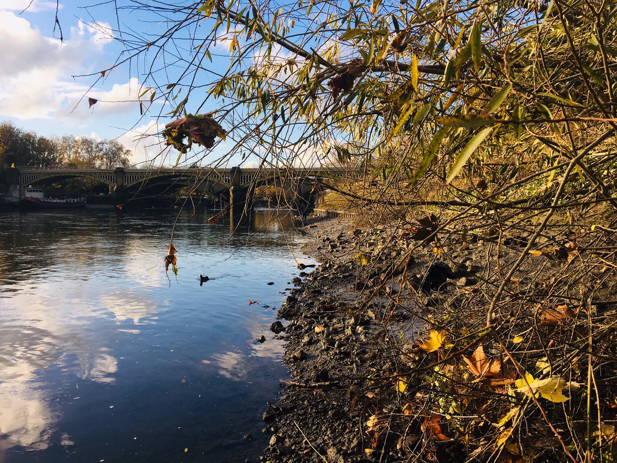 Thought to be in this part of the river that 18 yr old Prince Henry Frederick, heir to the throne & eldest son of James I of England (James VI of Scotland) & Anne of Denmark, swam one day while at Richmond Palace. He caught typhoid, dying a few weeks later in St James’ Palace.