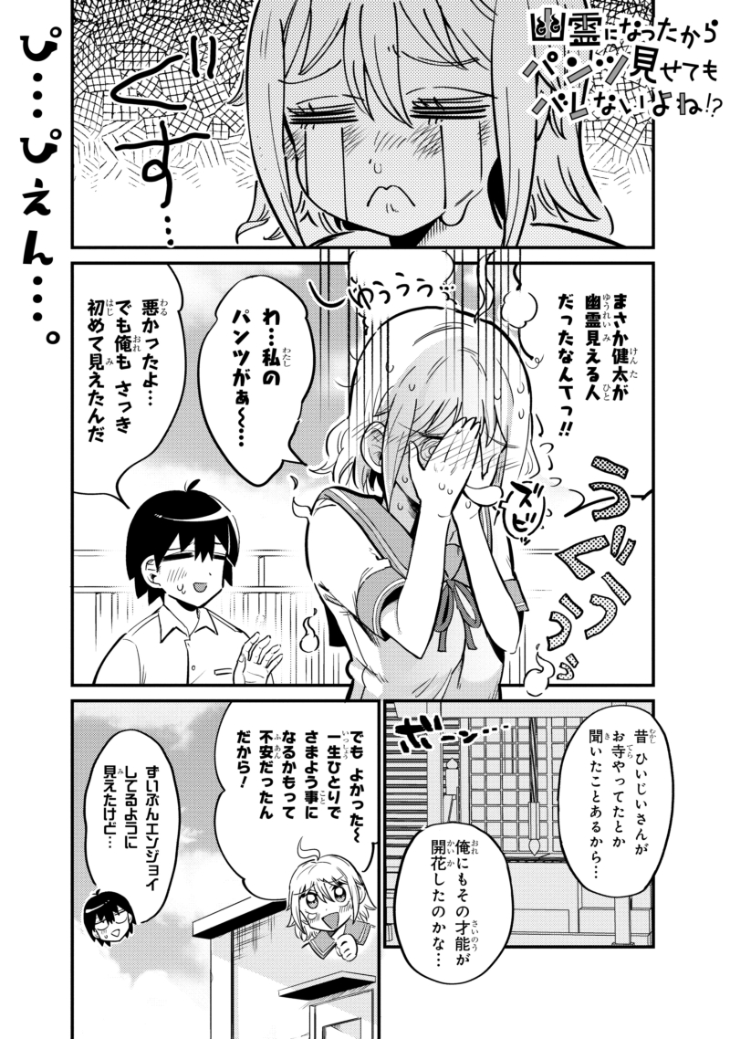 幽霊になったからパンツ見せてもバレないよね!?2
これからどうするつもり…?
#幽パン 