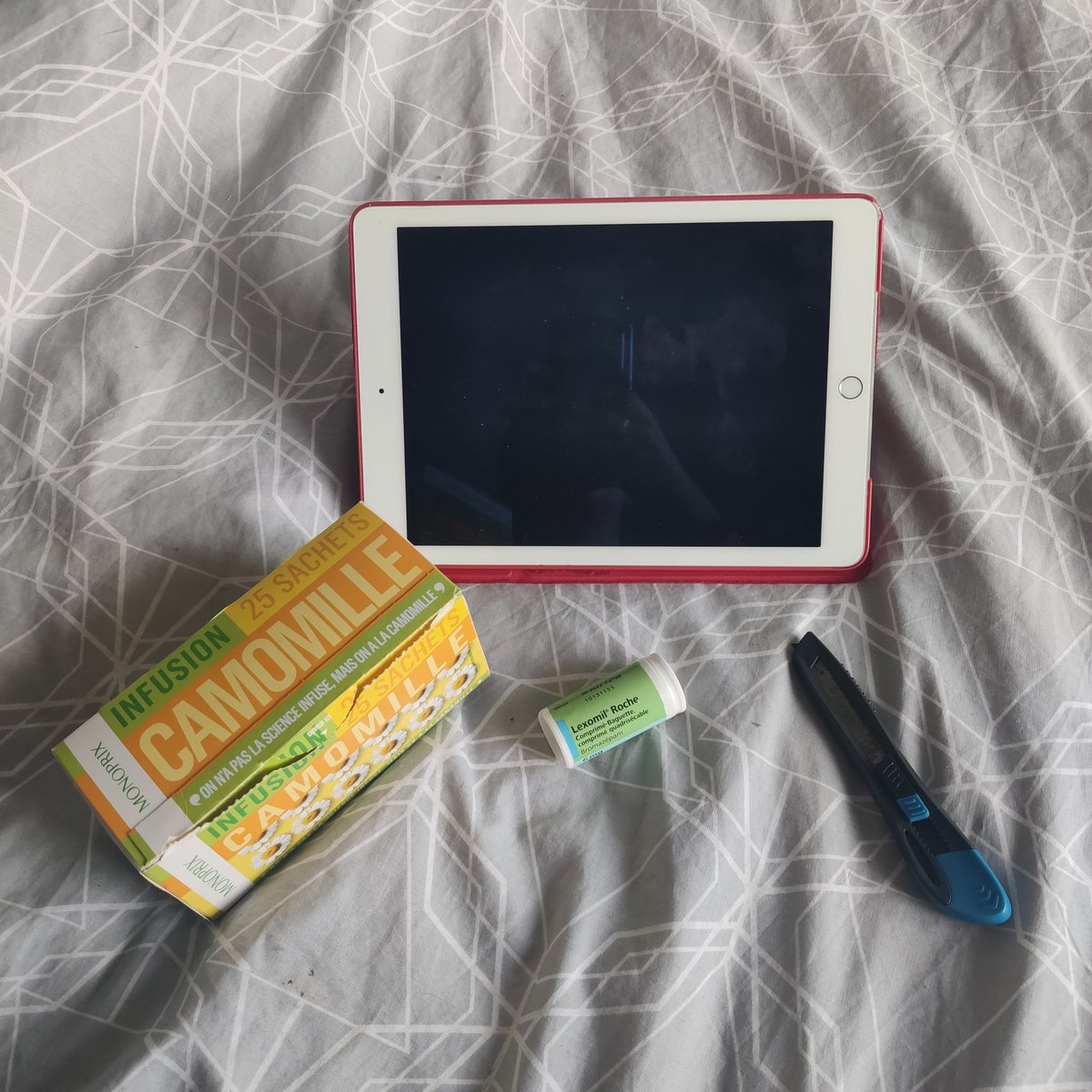 Bonjouuuuur On y retourne ?