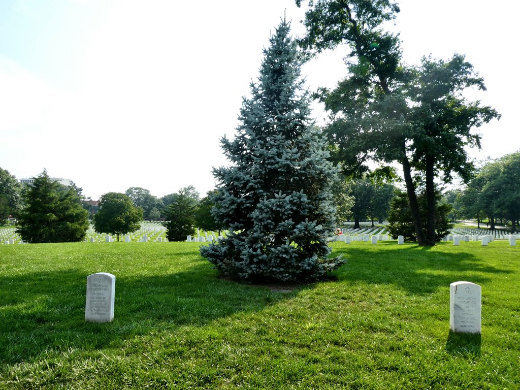 On a side note, John Pershing is also buried at Arlington National Cemetery alongside his Grandson Richard Pershing who was killed in Vietnam 17/02/1968 serving with the 101st Airborne.