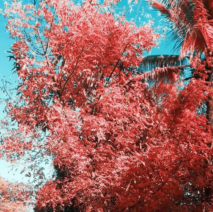 PyaeGd's tweet image. #NewProfilePic