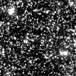 THERACAT project tweet media