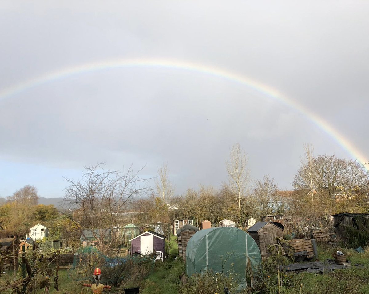 Cheers to the weekend. It’s #worldkindnessday2020, take care of yourself and those around you... take time out... recharge! Today I caught a rainbow over our #allotment, a core part of Bristol’s #NatureRecoveryNetwork and a vital piece of my sanity! #wellbeingmatters
