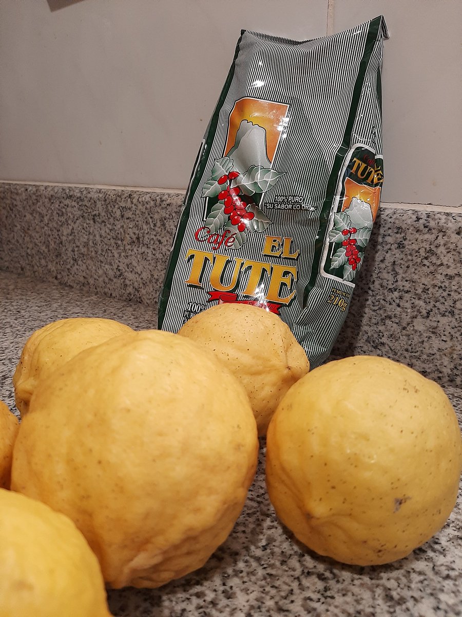 Danitzah's tweet photo. Y llegó #ElTute acompañado de limones. Gracias @gloriamelania @rickybala507 por el delivery. https://t.co/fCpmKOGzgA