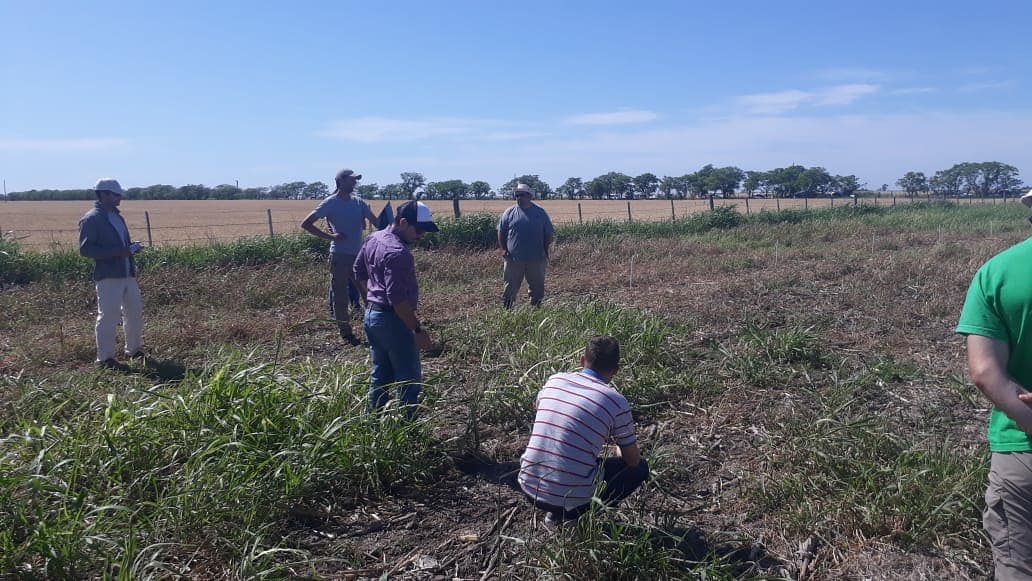 AgroProdas's tweet photo. Recorrida de Ensayos:
Barbecho largo y corto para soja de la mano de @MartinMarzetti
Excelente trabajo👏👏👏
..
..
📍Galvez, Santa Fe
...
#Spider #Ligate #Texaro
#SpiderXtra #LigateBesty
@cortevaarg
#ProdasAgro
🌱🌱🌱🌱🌱🌱🌱🌱 https://t.co/w2ERjqRJYY