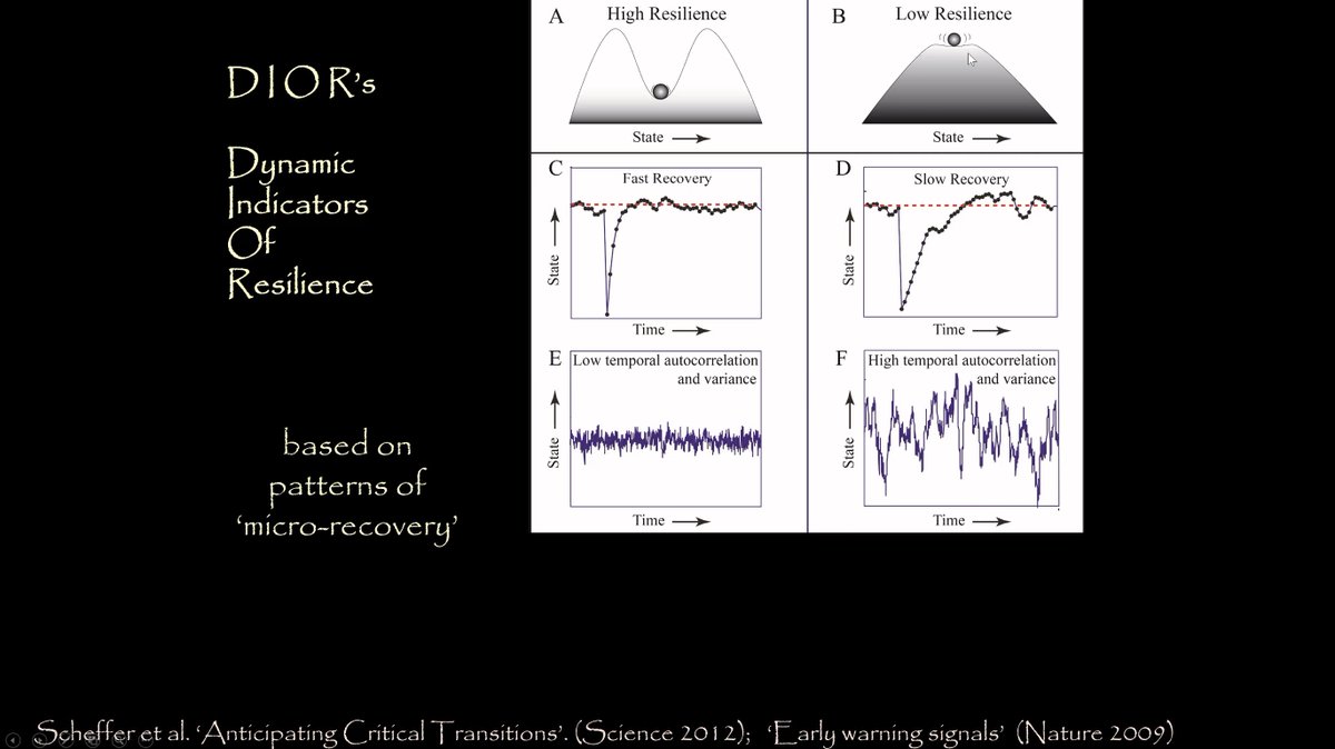 "The story goes that  #civilizations age, and at some point they become fragile, and then everything falls apart. There's a loss of  #resilience. But does the evidence support that?"- SFI External Prof Marten Scheffer's research looks for "Dynamic Indicators of Resilience"