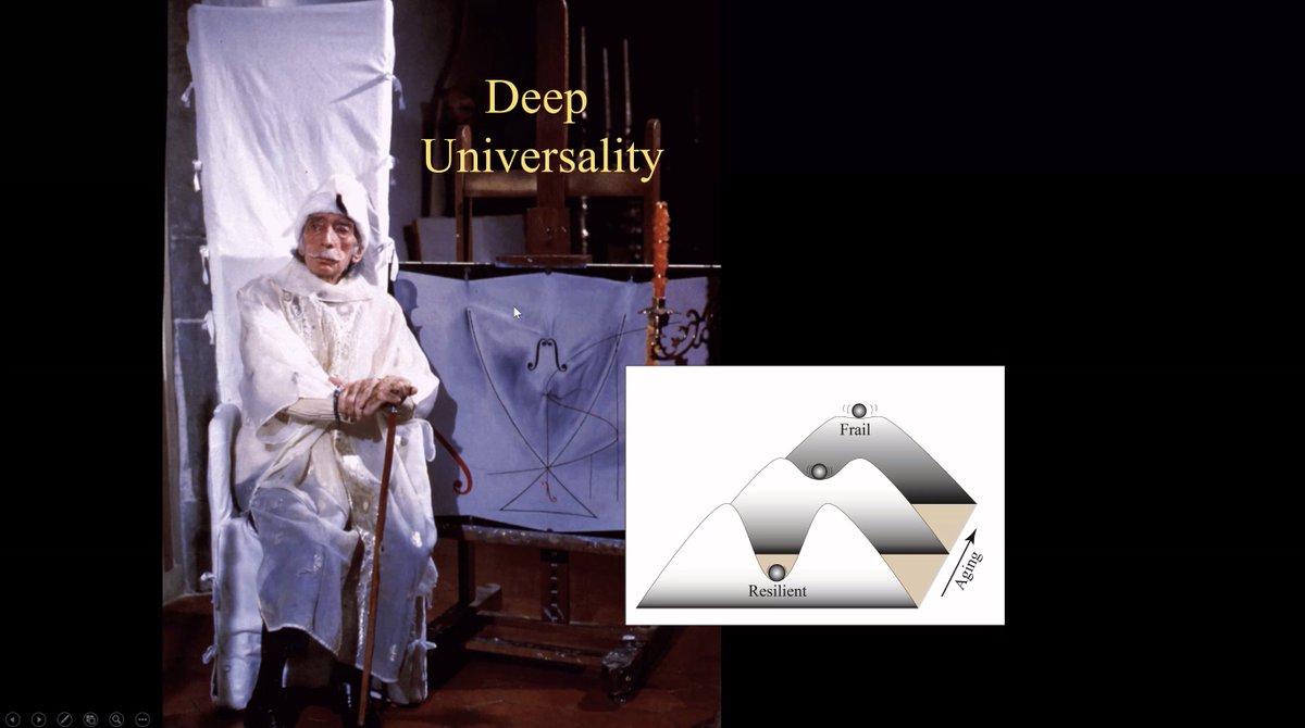 An increase in temporal autocorrelations doesn't just indicate the growing  #frailty of aging  #civilizations, but of instabilities in individual mood, predicting  #depression."It's remarkable that you have this  #universality."- SFI External Prof Marten Scheffer on  #resilience