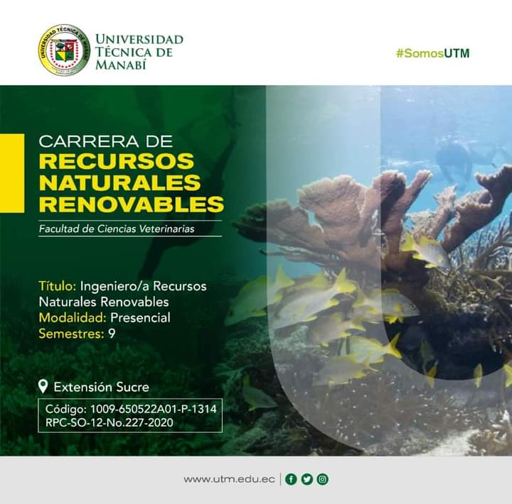 PantaVelez's tweet photo. El ingeniero de Recursos Naturales Renovables de la UTM, es un profesional preparado para gestionar y manejar los recursos marinos costeros y estuarinos con la finalidad de conservarlos y explotarlos en forma sustentable.
postula por nuestra oferta académica 
#SomosUTM https://t.co/zftJz4N5mM