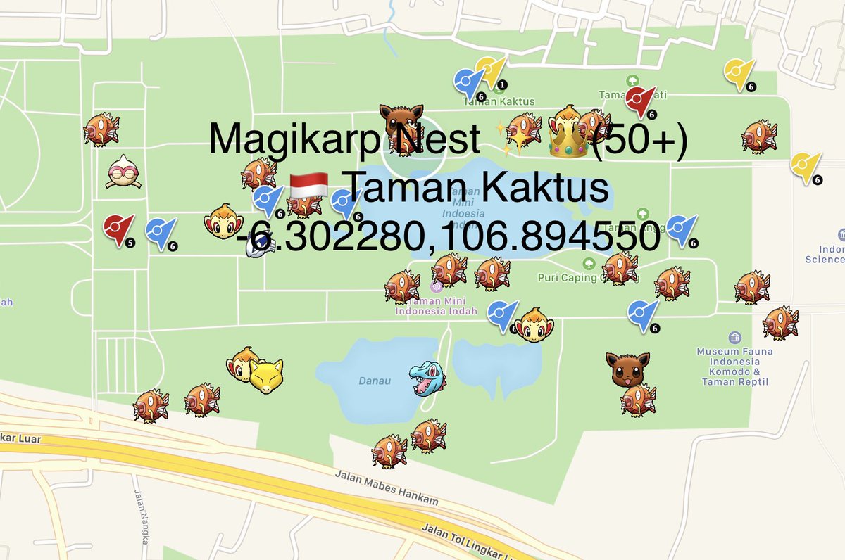 Arceus_World's tweet photo. #Magikarp Nest ✨ 👑(50+) 
🇮🇩 Taman Kaktus 

☞ coordinates at pic

❣️ Like &amp; RT 💝💝💝

#PokemonGO #pokemon #ShinyCheck #PokemonNest @Nael_Gwe https://t.co/JEk1gTWKWO