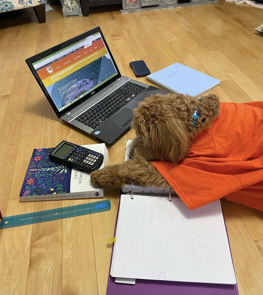 cbuniversity's tweet photo. Reading week isn’t all it’s cracked up to be...take it from Alfie!

Who can relate? 😅🤭🐶 https://t.co/ZQlHVMsSmI
