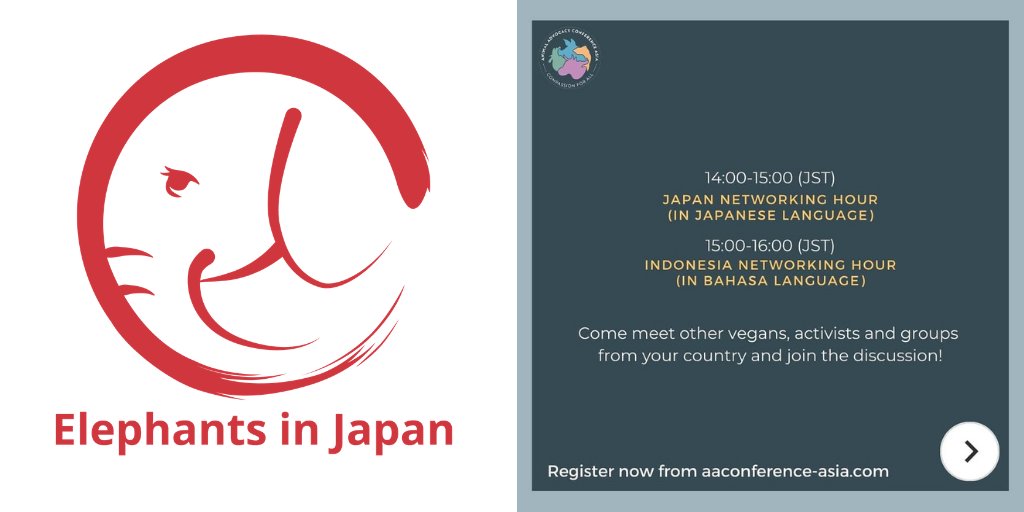 japanelephants's tweet photo. Join our founder @UlaraNakagawa at tomorrow's Japan Networking Hour session at 14 h JST at the Animal Advocacy Conference Asia! Register here: https://t.co/MDGHwCxHQX
#aaca2020 #elephantsinjapan https://t.co/KycQ8gYj92