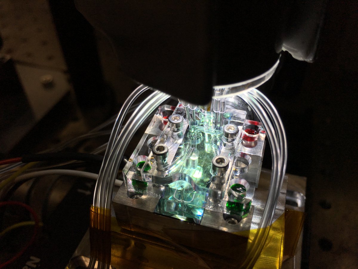 icn2nano's tweet photo. The principal focus of her research is the development of novel #nanobiosensor devices based on #nanoplasmonics and silicon-based photonics principles, including surface biofunctionalization, microfluidics and complete lab-on-a-chip integration for point-of-care devices. https://t.co/sUl8fryA3C