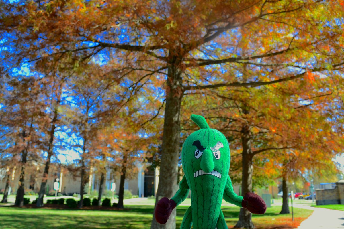 DeltaState's tweet photo. We're falling into the end of the semester. #StayOkraStrong #GreenFriday https://t.co/t1mc7rH0NG