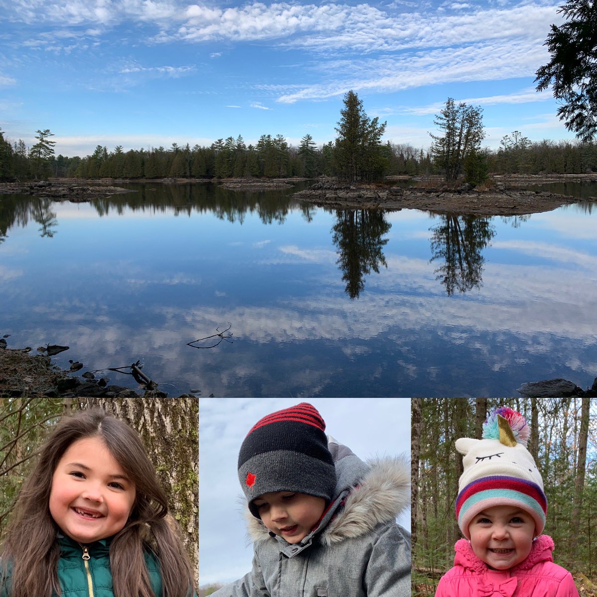 tbeau27's tweet photo. Another #beauty of a #trailwalk this morning for the #beaufam #nature #medicine #CBeau #RoBeau #SEBeau @beauchamplinds https://t.co/4nSSikls91