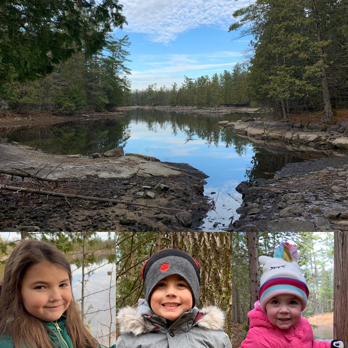 tbeau27's tweet photo. Another #beauty of a #trailwalk this morning for the #beaufam #nature #medicine #CBeau #RoBeau #SEBeau @beauchamplinds https://t.co/4nSSikls91
