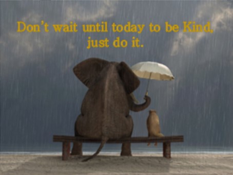 AlexxRDesign's tweet photo. https://t.co/ruW0LXMMFr which you all a happy day! 
Image from https://t.co/rZ92zlTGFm #BeKind #KindnessDay #KindnessMatters #people https://t.co/WZmDAo79lP