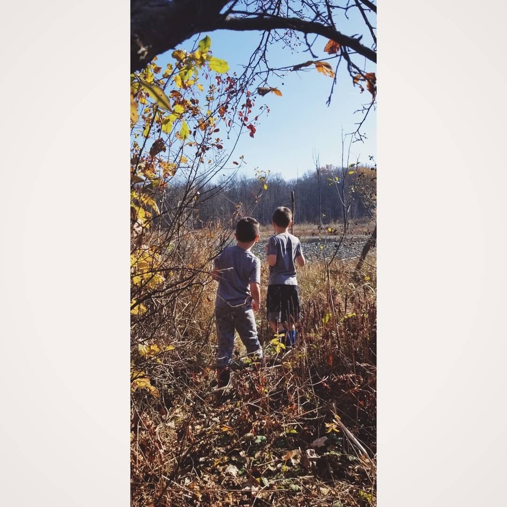 Everarborco's tweet photo. Let them find their element. Step outside.

#everarbor #everarborkids #findyourelement #stepoutside #boys #brothers #fatherandsons #fatherandsontime #kids #boyswillbeboys #marsh #fall #autumn #hike #explore #discover #ohio #woods #secretspot #gatesmills … https://t.co/qci8rk8IYK https://t.co/4pGvfwIqOR