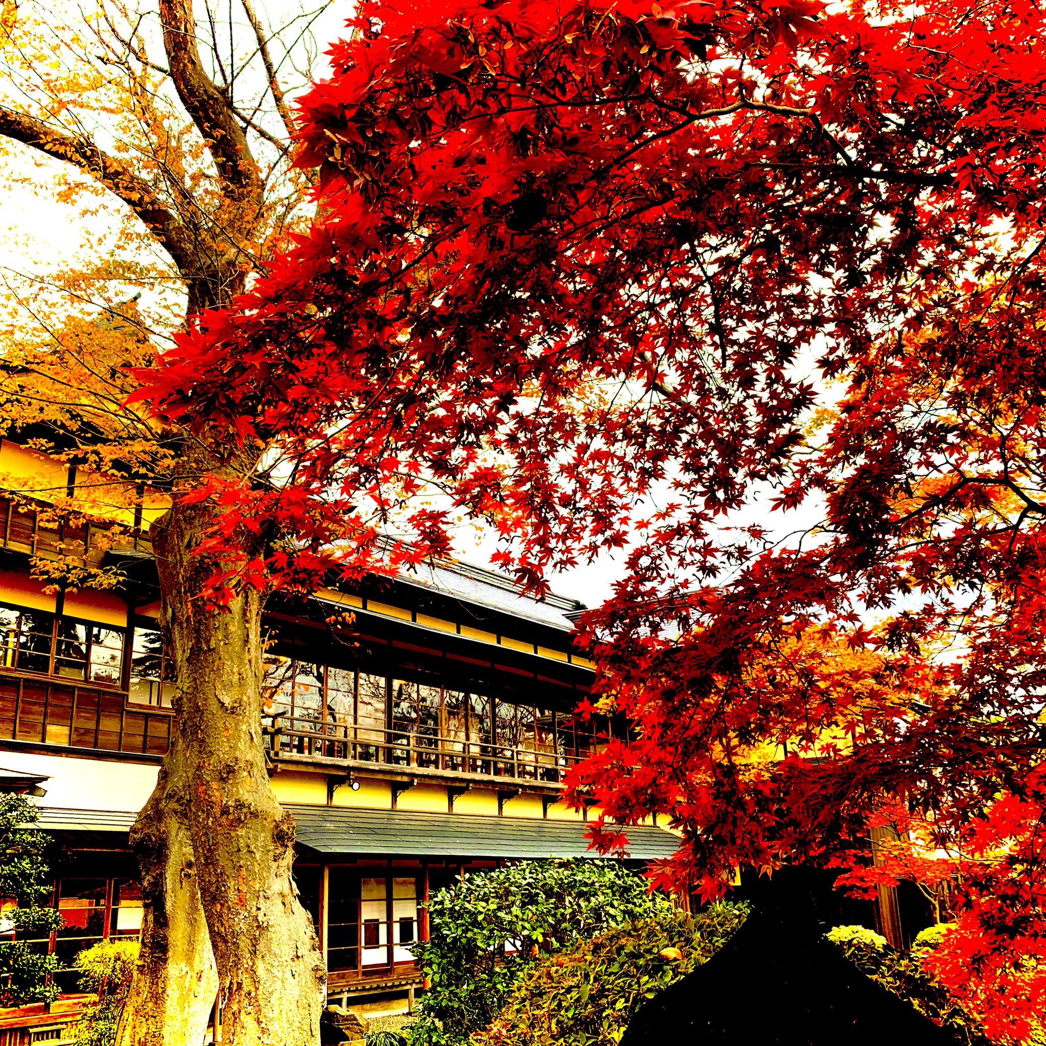 能代市観光 Twitter Search Twitter