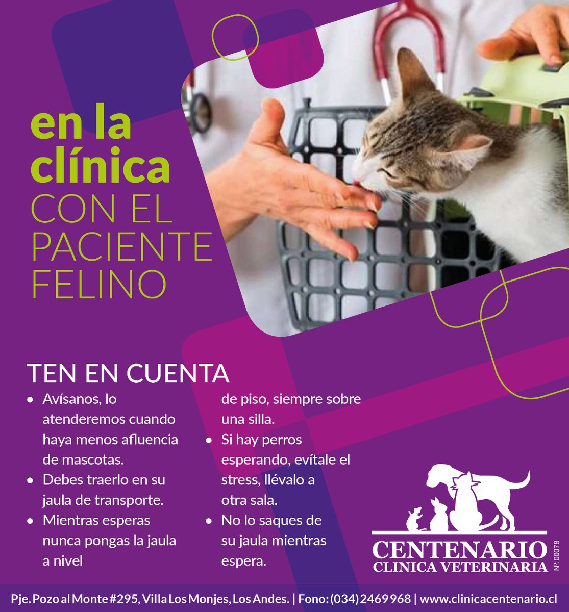 vetcentenario's tweet photo. https://t.co/07c7Vwm9Ut