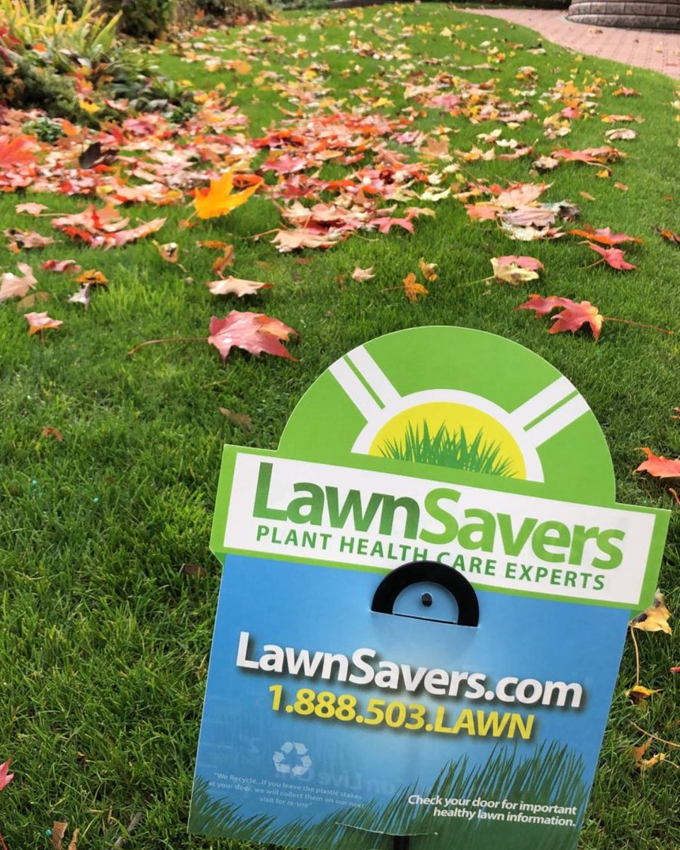 LawnSavers's tweet photo. Plan some time this weekend to finish (or startπ€·) your fall clean up! You do not need to gather every leaf that falls, it is actually beneficial to mulch up some leaves and leave them on the lawn over the winter for added nutrients.
#falltip #gta #toronto #vaughan #peel #york https://t.co/r6P9x33SH5