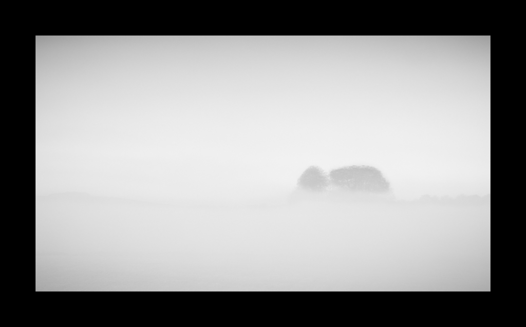 lawsmithphoto's tweet photo. That really was quite a foggy and special morning around Avebury (Wiltshire) on the 4th November.
#wiltshire #foggy #whosaidthat #timeforwiltshire @ThePhotoHour #wextweets #fotospeed @RogerCharlton #beckhampton #stables #horses @VisitWiltshire @WiltsTG @BigWiltsSkies https://t.co/URC52BVntk