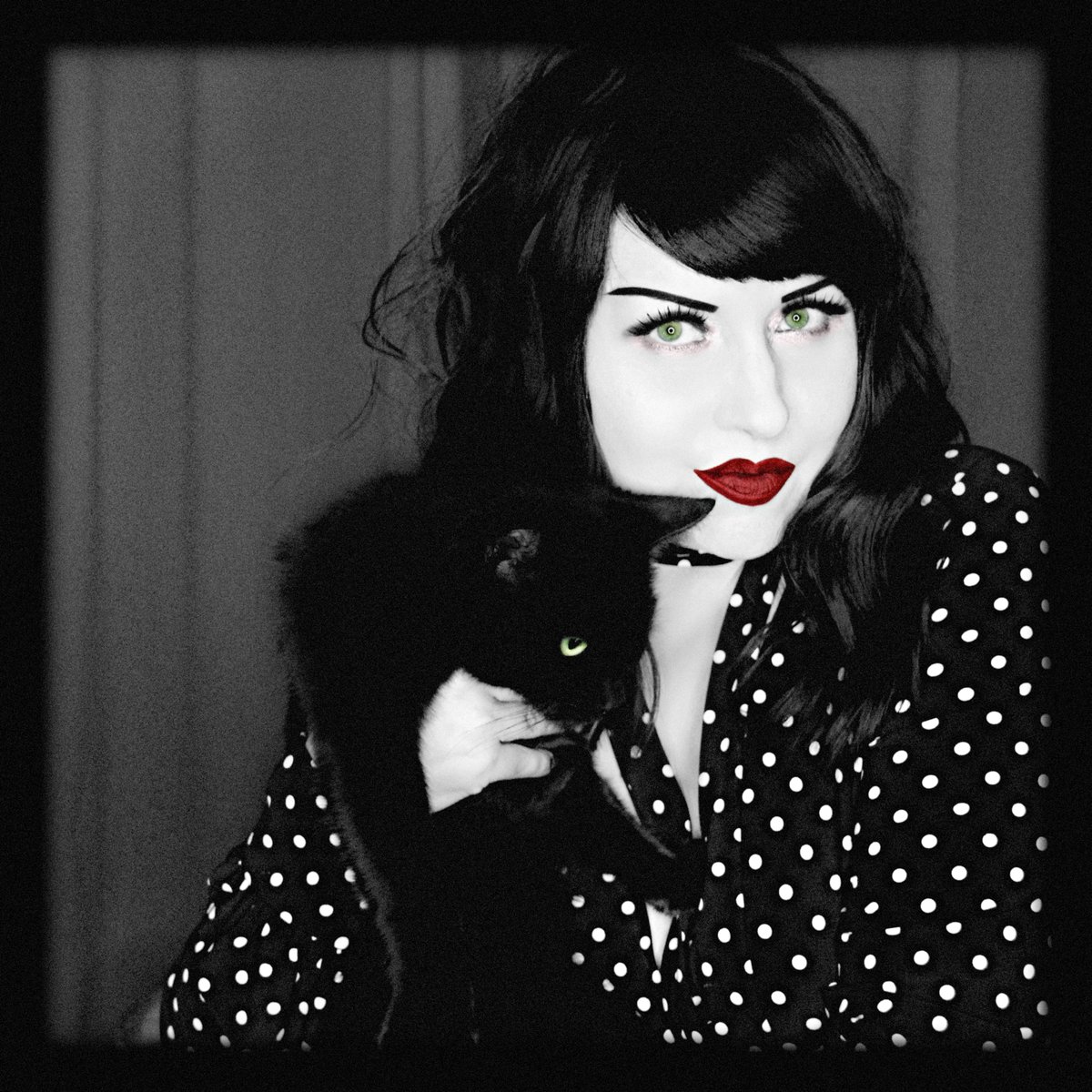 TairrieB's tweet image. It's #FridayThe13th 🤞🏼😺 Hug a black cat for good luck and remember adopt don't shop! 🖤 #magickmurphy #familiar #blackcatsrock