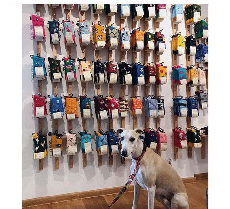 11. KABAK KABAK to marka oferująca wysokiej jakości skarpetki z oryginalnymi nadrukami, szaliki, koce i wiele innych. Mają też dużo gotowych zestawów prezentowych. Wszystko powstaje w Polsce zgodnie z zasadami less waste. Ceny wahają się od 25 do 350zł.  https://kabak.com.pl&nbsp;