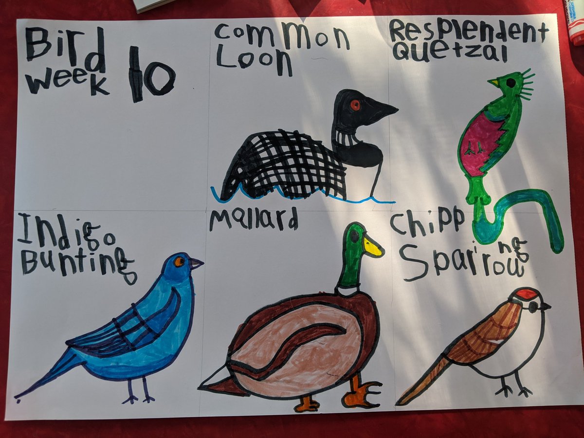 Bird Week 10 in the books