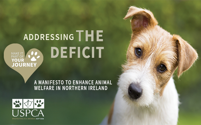 USPCA_Official's tweet photo. "The USPCA Manifesto sets the scene of animal welfare in Northern Ireland and unfortunately demonstrates the shortfall in our current legislation." Brendan Mullan, Chief Executive #AddressingTheDeficit https://t.co/7wezEAMwhN