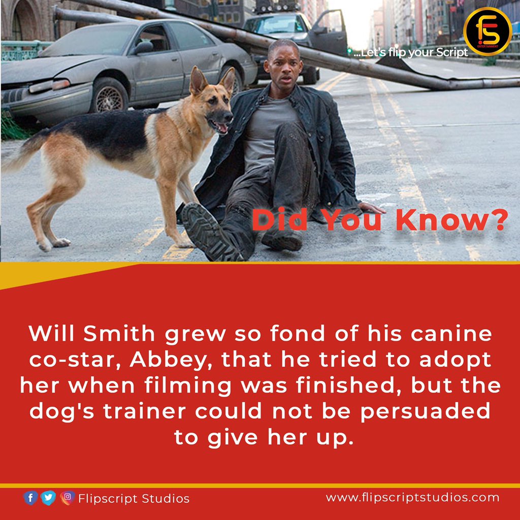 FlipscriptEnt's tweet photo. Will Smith grew so fond of his canine co-star, Abbey, that he tried to adopt her when filming was finished, but the dog's trainer could not be persuaded to give her up
#flipscriptstudios #fridayvibes #facts💯 #fact #iamalegend #tgif #fridaymood #willsmith #FridayFeeling #Caturday https://t.co/aA3m5WCriL