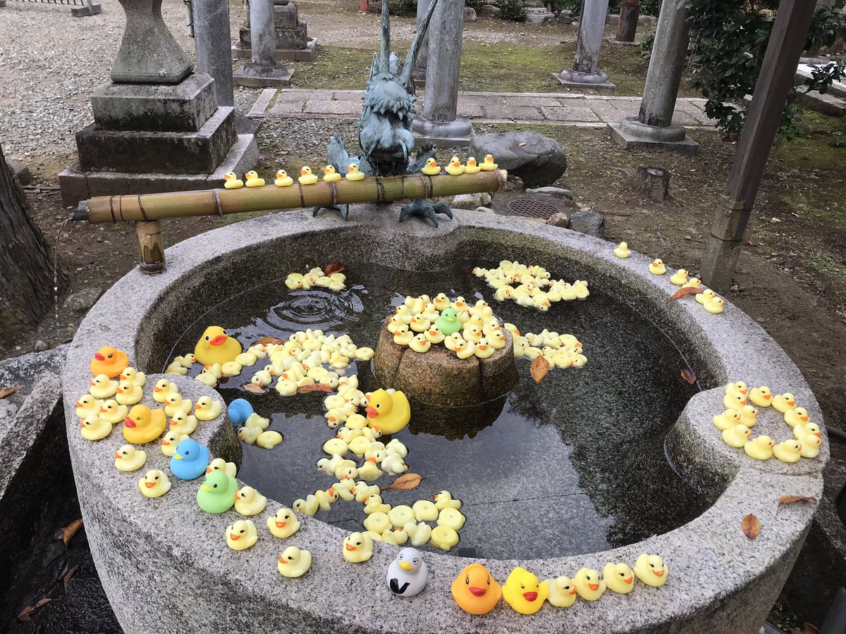 近江神宮へ行った帰りにアヒルの手水舎が気になってたので粟田神社へ寄ってみたよ!日向ぼっこしててカワイかったです♪
平安神宮前を通って帰りました‼︎
ここの通りは観光客が多かったなw 