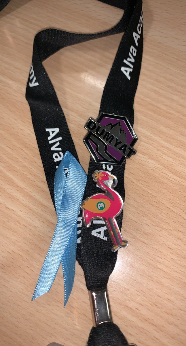 alva_asn's tweet photo. Mrs More and Miss Paterson have finally joined #dumyatππ @Alva_Guidance #WearYourBadge https://t.co/ZbuUr8cpzS