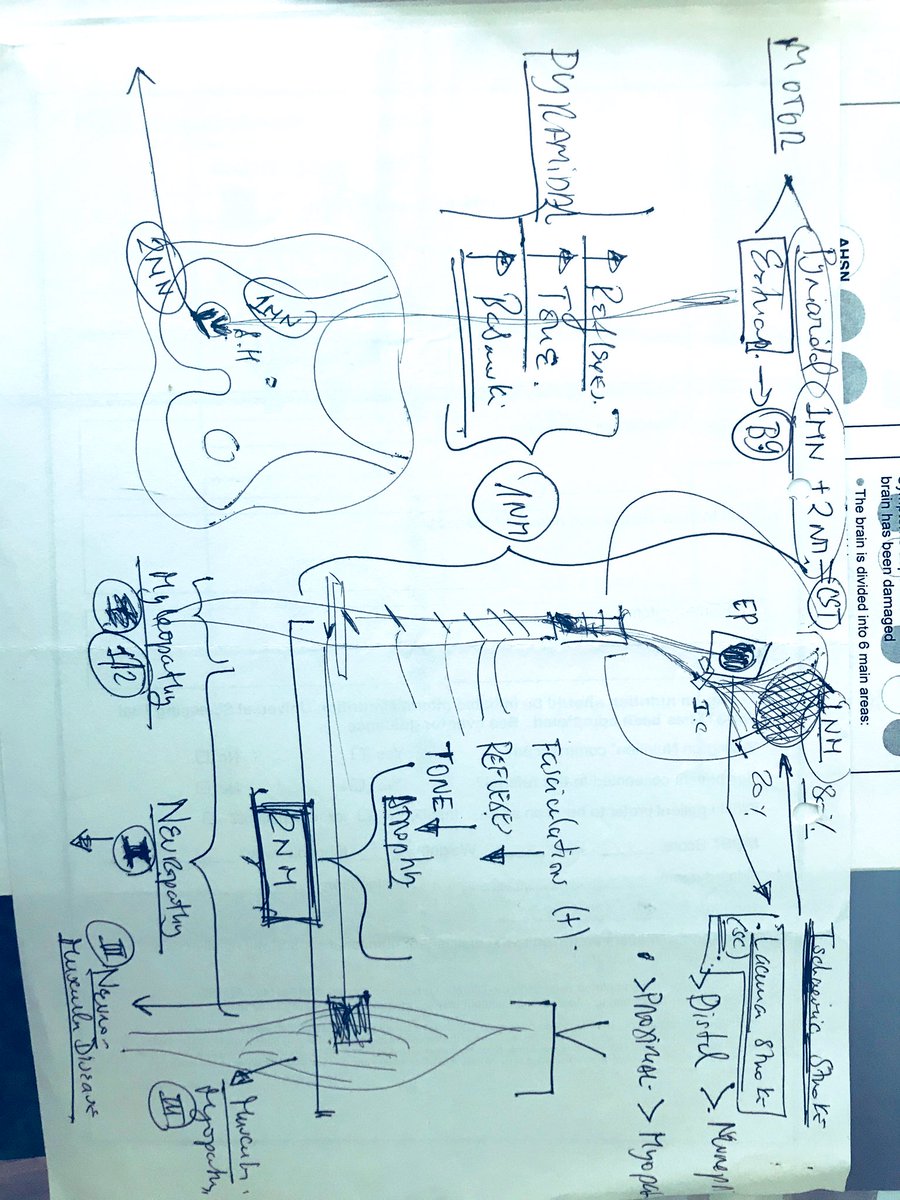 Carla Ferreira tweet media