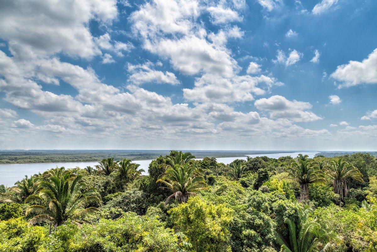 Good Morning From Beautiful Belize!
#Belize #GoodMorning #BelizeHub #UltimateBelizeBucketList