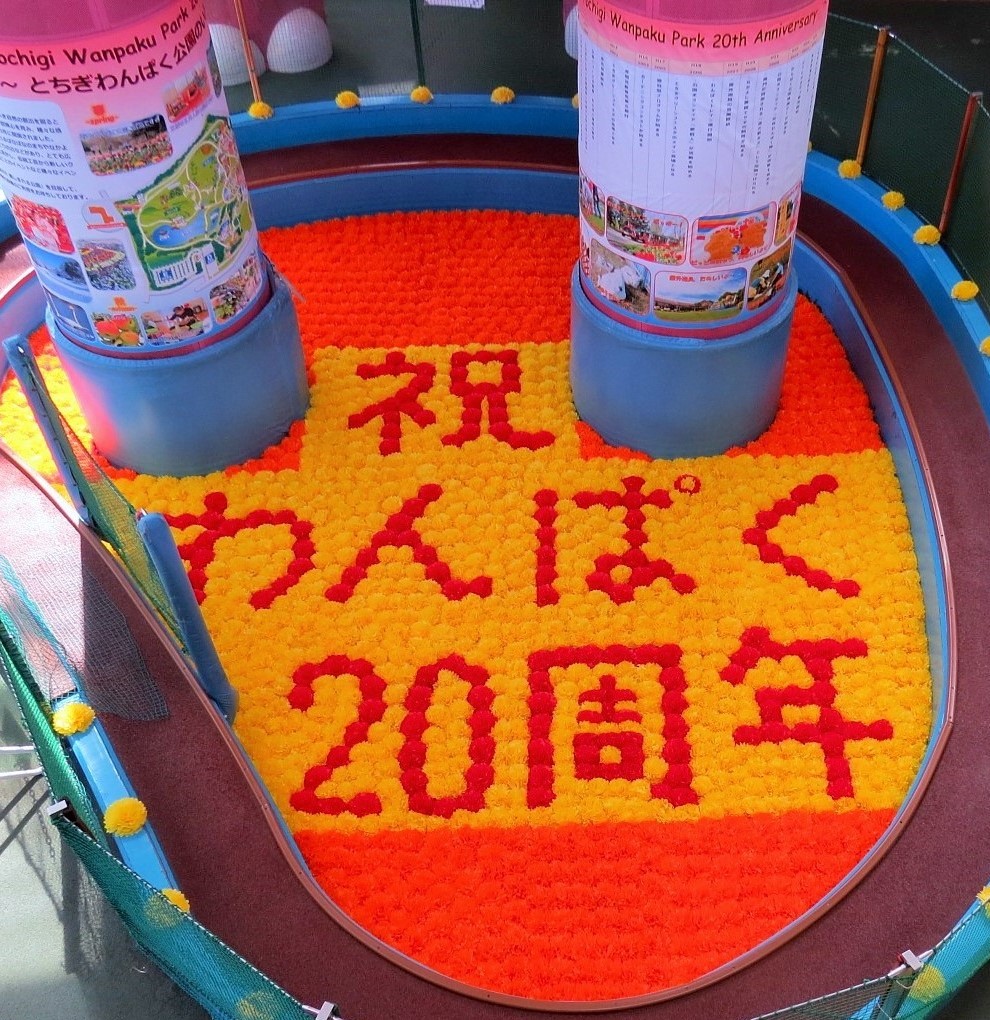 栃木県広報課 とちぎわんぱく公園開園周年記念 わんぱく公園の軌跡 花文字をご覧ください 公園 周年を記念した1 650個のペーパーフラワーの花文字や 開園してからの年表 各種イベントの写真をぜひご覧ください T Co Ggnagsol5s 栃木県 とちぎ 栃木県広報課 とちぎわんぱく公園開園周年記念 わんぱく公園の軌跡 花文字をご覧ください 公園 周年を記念した1 650個のペーパーフラワーの花文字や 開園してからの年表 各種イベントの写真をぜひご覧ください T Co Ggnagsol5s 栃木県 とちぎ