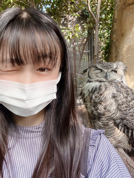 Twitterのコスプレ画像37