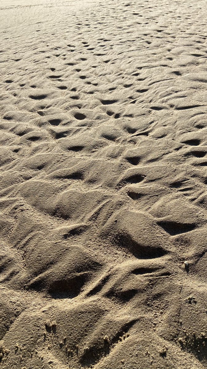 MarkSmales's tweet image. #sandpatterns #beach #seaweed #flamborough #eastyorkshire