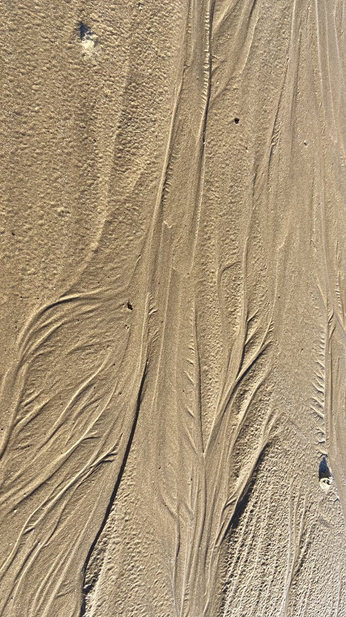 MarkSmales's tweet image. #sandpatterns #beach #seaweed #flamborough #eastyorkshire