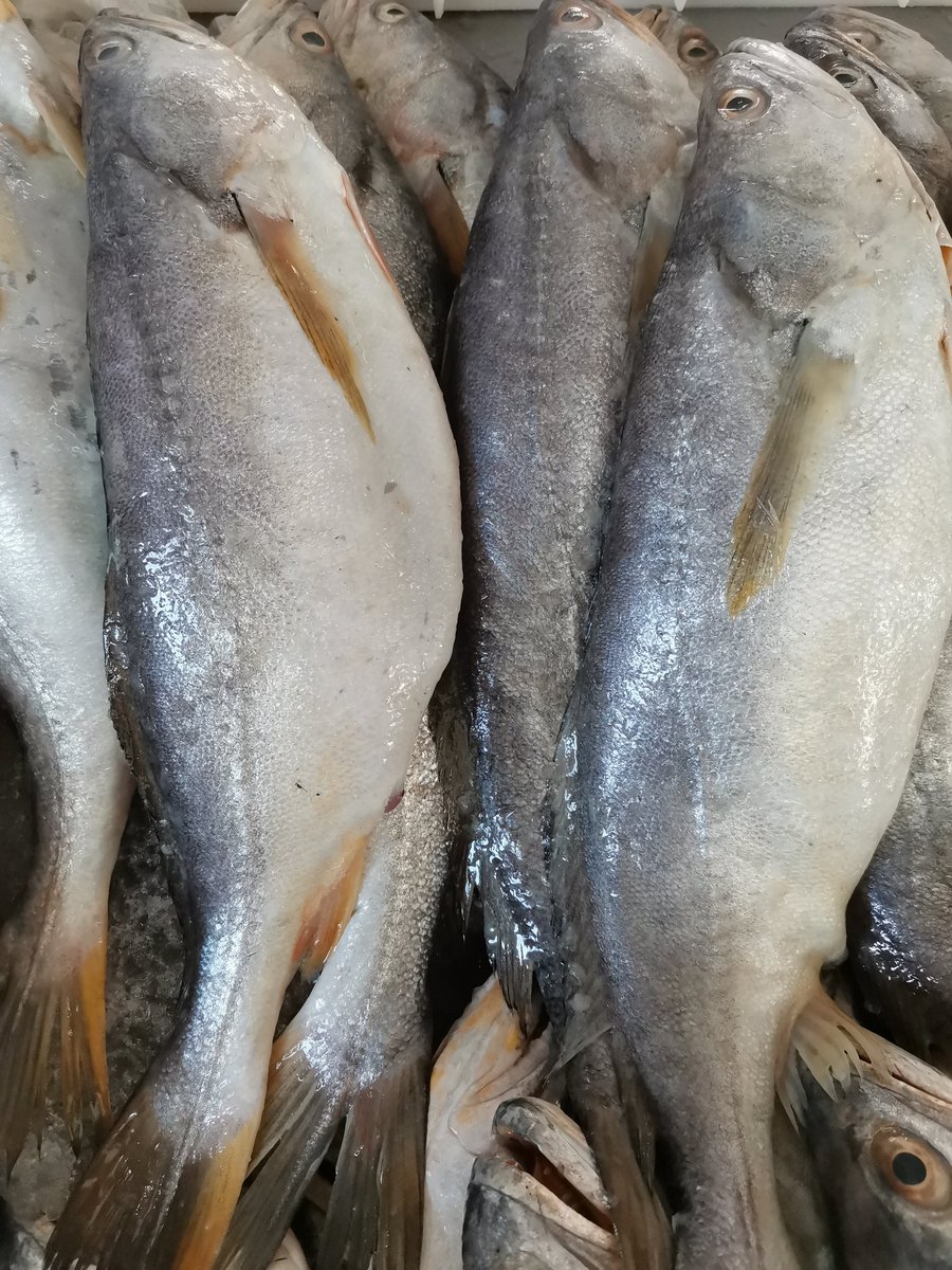 LyndaLuna06's tweet photo. Buenos días Tw hoy necesito de su magia, les quiero pedir su apoyo necesitamos seguir porque emprender no es de un mes sino continuar en la lucha diaria,  me colaboran con su Rt  #ViernesdeMariscos con @lyndapescado https://t.co/OwlUmLN5cr