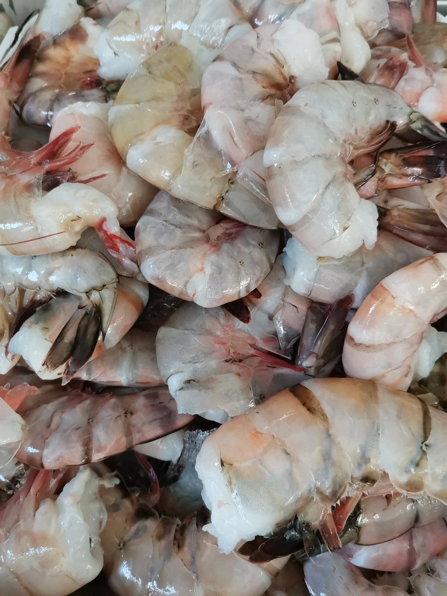 LyndaLuna06's tweet photo. Buenos días Tw hoy necesito de su magia, les quiero pedir su apoyo necesitamos seguir porque emprender no es de un mes sino continuar en la lucha diaria,  me colaboran con su Rt  #ViernesdeMariscos con @lyndapescado https://t.co/OwlUmLN5cr