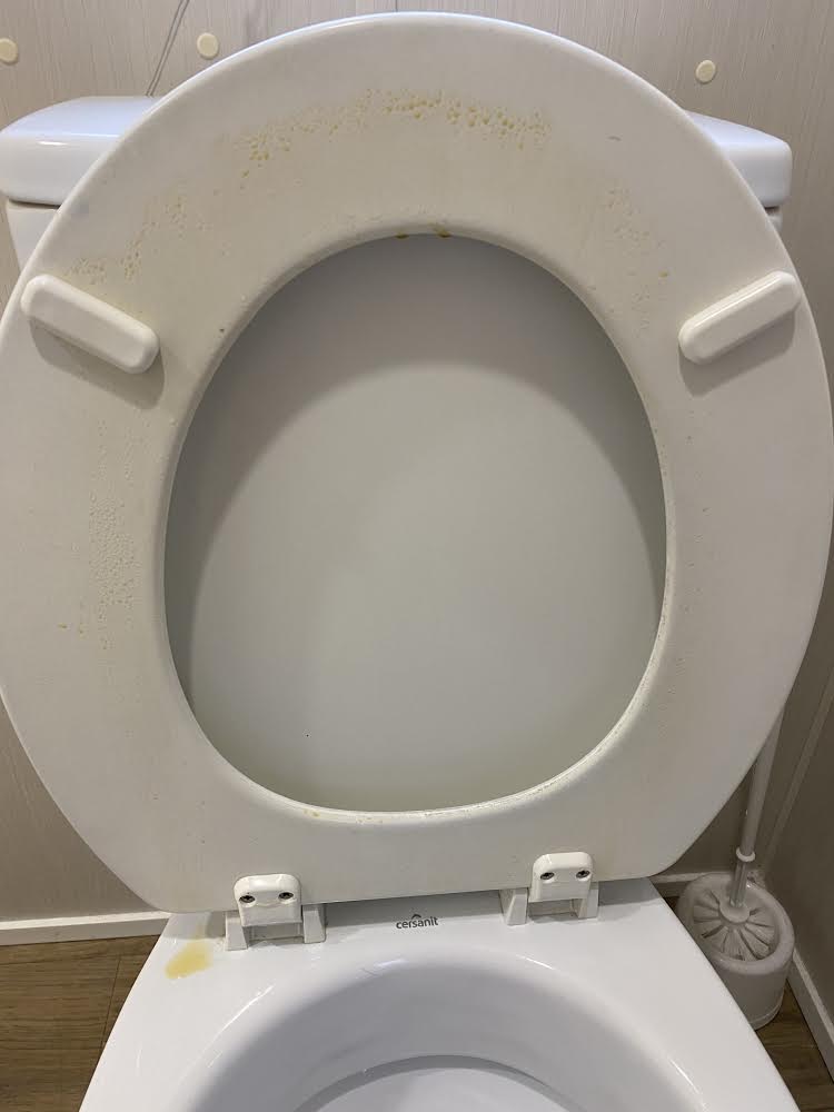 The toilet in our place was disgustingly filthy, also the taps with toothpaste on them. Used plasters,old tissue and an old sock under one of the beds too! <a href="/TencreekLooe/">Tencreek Holiday Park</a> #coronavirus