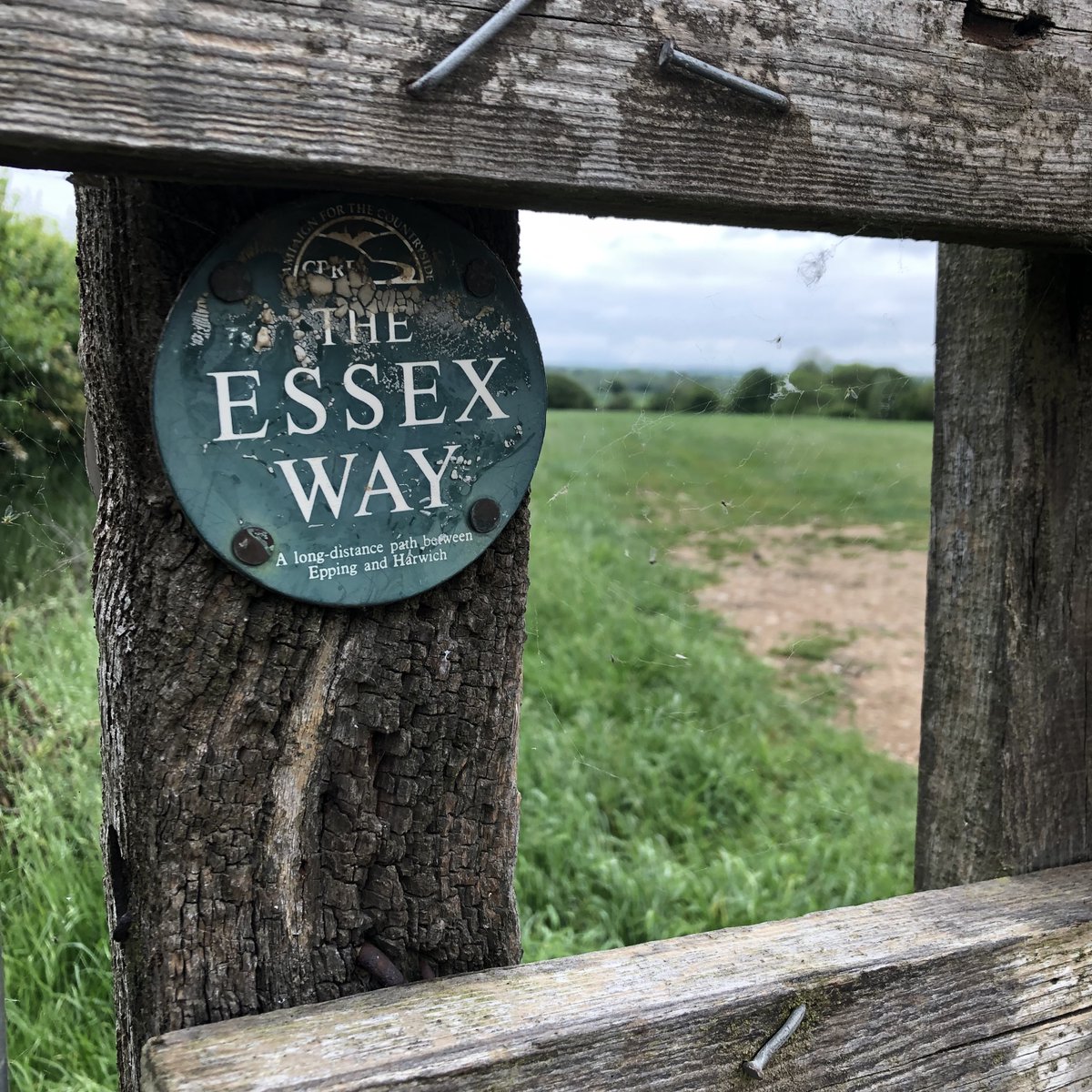 E is also for the  #EssexWay. A large section of this 82 mile-long footpath runs through the north of Colchester's Beautiful Borough, from Dedham to Great Tey. Has anyone reading walked the whole thing?  #AtoZofLockdownColchester https://www.visitcolchester.com/things-to-do/the-essex-way-p1230551