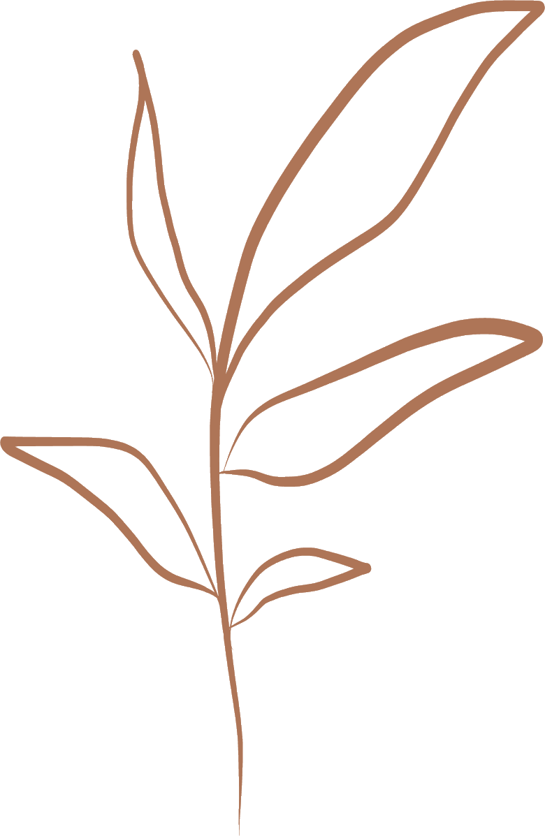 Shop Critique tweet media