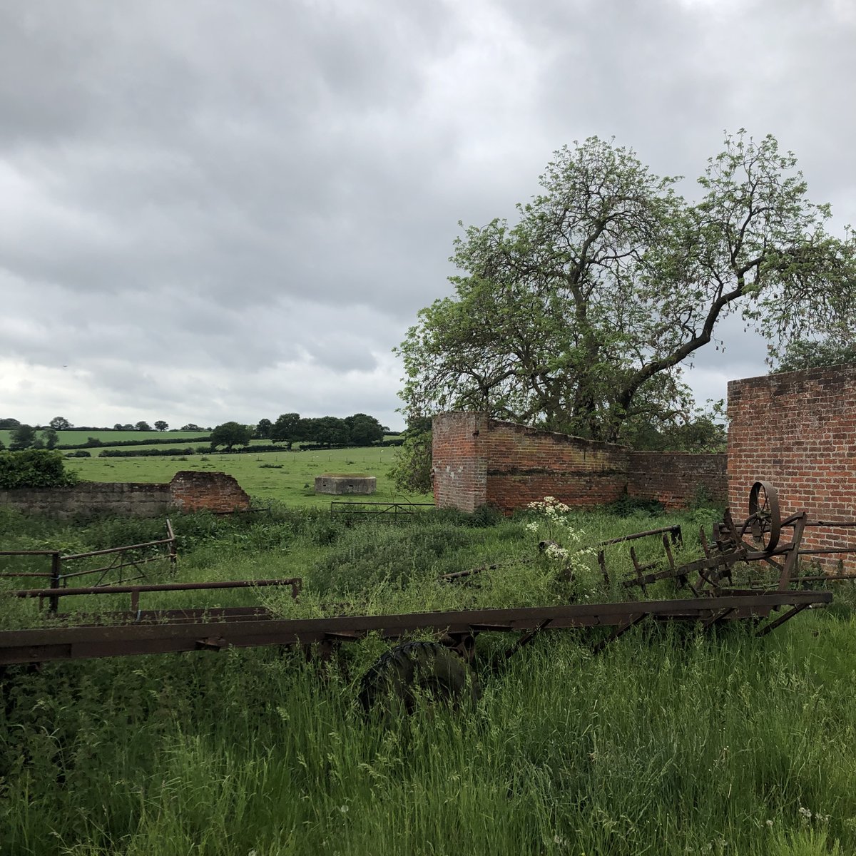 E is also for the  #EssexWay. A large section of this 82 mile-long footpath runs through the north of Colchester's Beautiful Borough, from Dedham to Great Tey. Has anyone reading walked the whole thing?  #AtoZofLockdownColchester https://www.visitcolchester.com/things-to-do/the-essex-way-p1230551