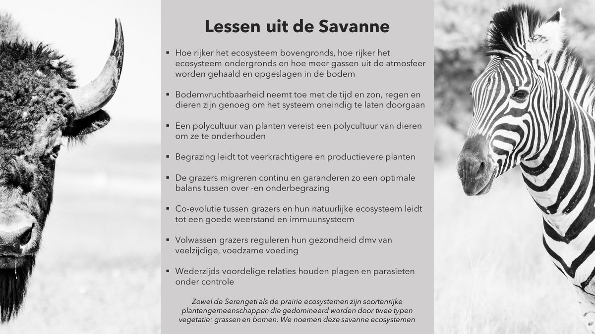 In het Courage-project ‘Biomimicry’ leert melkveehouder Hugo Spruit om naar het bedrijf te kijken als een ecosysteem. “Hierdoor ga je het geheel zien in plaats van aspecten." Lees het artikel hier: courage2025.nl/inspiratie/nie… #biomimicry #courage #innovatievemelkveehouderij