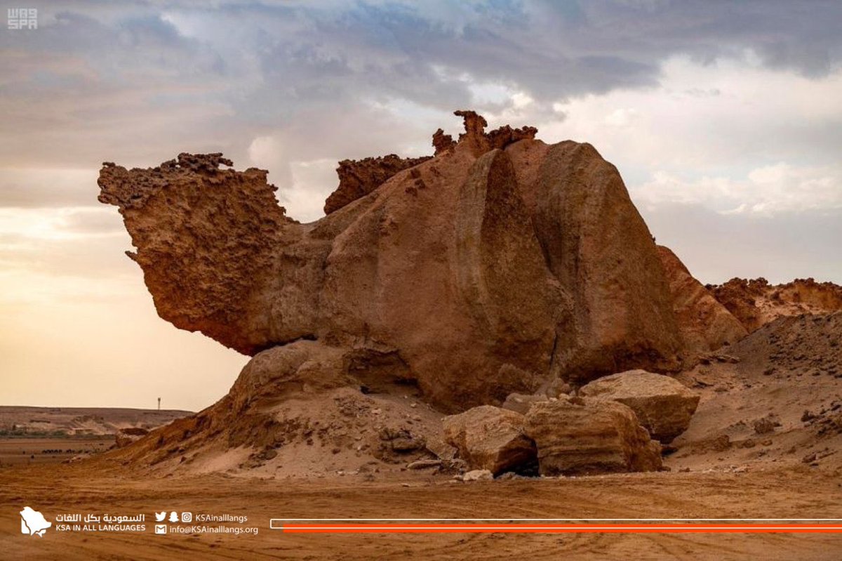 KSAinFR's tweet photo. Le rocher Al-Jamal, littéralement "le rocher du chameau", est une sculpture naturelle dans la province d'Al-Wajh dont la hauteur est de 8 mètres.
#KSAinallLangs
#ArabieSaoudite https://t.co/Rx9KcCcJzx
