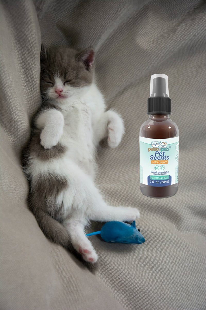 paleopets's tweet photo. You know the deep feeling of calm your cat gives you after a long day. Now you can treat your pet to the luxury of relaxation, anytime! https://t.co/82XVmnfdkf